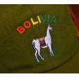画像2: 【ビンテージ】【BOLIVIA】【緑】【ロバ】【キャップ】<br> (2)