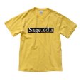 画像3: 【ビンテージ】【黄】【Sage.edu】【Ｔシャツ】【サイズＭ】<br> (3)