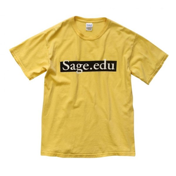 画像3: 【ビンテージ】【黄】【Sage.edu】【Ｔシャツ】【サイズＭ】 