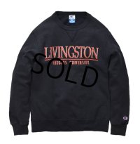 【USA製】【チャンピオン】【LIVINGSTONE】【黒】【前Ｖ】【スウェットパーカー】【サイズM】 