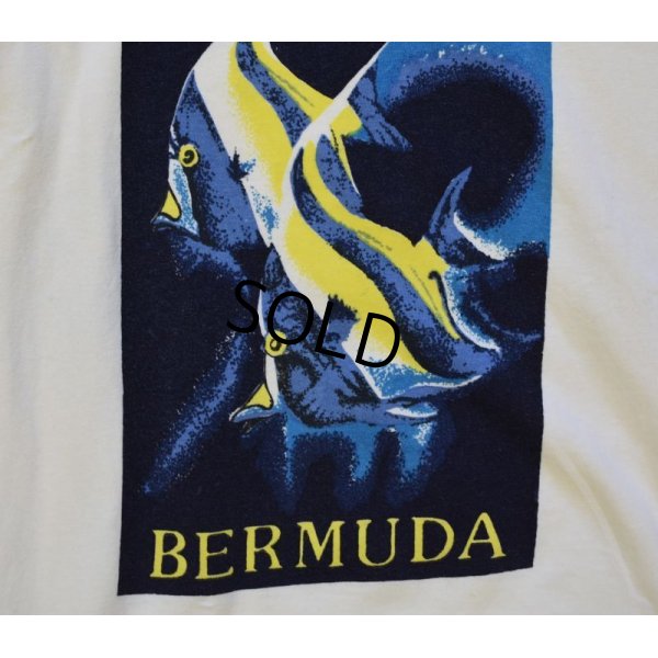 画像5: 80's【ビンテージ】【davison's of BERMUDA】バミューダ諸島【ツノダシ】【魚】【Tシャツ】【サイズＭ】 