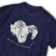 画像1: 80's USA製【ビンテージ】【紺】ANVIL【バックプリント付き】【Bighorn】【羊】Tシャツ【サイズＸＬ】<br> (1)