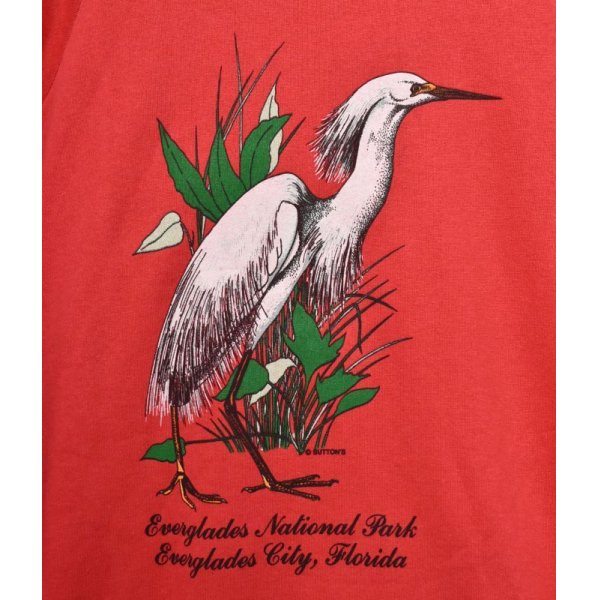 画像3: ~90's【USA製】【Textile Prints】ビンテージ【エバーグレーズ国立公園】【Everglades National Park】【赤】【スウェット】【サギ】【サイズＸＬ】  