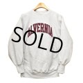 〜90’s【USA製】ビンテージ【チャンピオン】【Champion】【リバースウィーブ】【グレー】【胸ロゴ】【ALVERNIA】【スウェット】【サイズXL】 