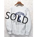〜90’s【USA製】ビンテージ【チャンピオン】【Champion】【リバースウィーブ】【Pennsylvania attletics】カレッジプリント【スウェット】【サイズXL】 
