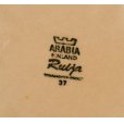 画像2: ビンテージ【ARABIA】アンティーク【アラビア】【Ruija】【ルイージャ】【サラダプレート】皿 【20cm】 <br> (2)