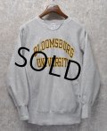 90’s【ビンテージ】【チャンピオン】【リバースウィーブ】【グレー】【BLOOMSBURG UNIVERSITY】【カレッジスウェット】二段プリント【刺繡タグ】【サイズL】 