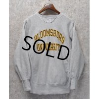 90’s【ビンテージ】【チャンピオン】【リバースウィーブ】【グレー】【BLOOMSBURG UNIVERSITY】【カレッジスウェット】二段プリント【刺繡タグ】【サイズL】 