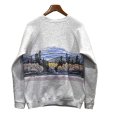 画像3: 【90s】【ビンテージ】【USA製】ヘインズ【hanes】グレー【VERMONT】【森プリント】【スウェット】【サイズＸＬ】<br> (3)