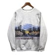 画像1: 【90s】【ビンテージ】【USA製】ヘインズ【hanes】グレー【VERMONT】【森プリント】【スウェット】【サイズＸＬ】<br> (1)