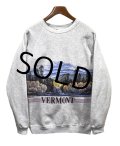 【90s】【ビンテージ】【USA製】ヘインズ【hanes】グレー【VERMONT】【森プリント】【スウェット】【サイズＸＬ】 