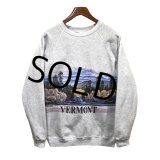 【90s】【ビンテージ】【USA製】ヘインズ【hanes】グレー【VERMONT】【森プリント】【スウェット】【サイズＸＬ】 