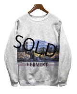 【90s】【ビンテージ】【USA製】ヘインズ【hanes】グレー【VERMONT】【森プリント】【スウェット】【サイズＸＬ】 