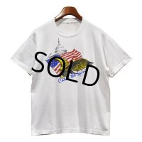 【USA製】【ビンテージ】白【星条旗】鷹【catch the spirit】【US】【Tシャツ】【サイズS程度】 