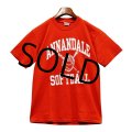 チャンピオン【赤】【ANNANDALE SOFTBALL】【Ｔシャツ】【サイズM】 