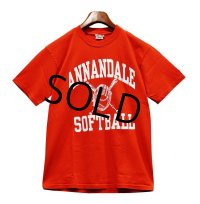 チャンピオン【赤】【ANNANDALE SOFTBALL】【Ｔシャツ】【サイズM】 