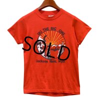 80's【USA製】【ビンテージ】ヘインズ【hanes】SKI THE BIG ONE【赤】スキープリント【ジャクソンホール】【Ｔシャツ】【サイズS】 