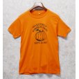 画像1: 【デッドストック】 80's【USA製】スクリーンスターズ【ビンテージ】【PUMPKIN DAYS】【Tシャツ】【サイズＬ】<br> (1)