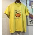 画像1:  80's【USA製】スクリーンスターズ【ビンテージ】【PUMPKIN DAYS】黄色【Tシャツ】【サイズXＬ】<br> (1)