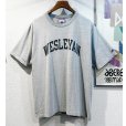 画像1: ビンテージ チャンピオン【WESLEYAN】カレッジロゴ グレー【Ｔシャツ】【サイズL】<br> (1)