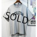 ビンテージ チャンピオン【WESLEYAN】カレッジロゴ グレー【Ｔシャツ】【サイズL】 