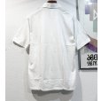 画像3: 【USA製】【munsingwear】【マンシングウェア】イチゴ 刺繍【白】【ポロシャツ】【サイズＬ】<br> (3)