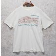 画像1: 【90's】【USA製】【ビンテージ】【Hanes】ヘインズ【Grand Canyon】グランドキャニオン【生成り】【Tシャツ】【サイズＬ】<br> (1)