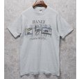 画像1: ビンテージ【FRUIT OF THE LOOM】【フルーツオブザルーム】【BANFF cnadian wildlife】ライトグレー【 Tシャツ】【サイズL】<br> (1)