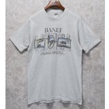 ビンテージ【FRUIT OF THE LOOM】【フルーツオブザルーム】【BANFF cnadian wildlife】ライトグレー【 Tシャツ】【サイズL】 