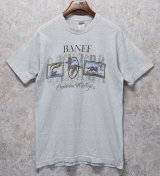 ビンテージ【FRUIT OF THE LOOM】【フルーツオブザルーム】【BANFF cnadian wildlife】ライトグレー【 Tシャツ】【サイズL】 