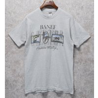 ビンテージ【FRUIT OF THE LOOM】【フルーツオブザルーム】【BANFF cnadian wildlife】ライトグレー【 Tシャツ】【サイズL】 