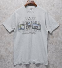 ビンテージ【FRUIT OF THE LOOM】【フルーツオブザルーム】【BANFF cnadian wildlife】ライトグレー【 Tシャツ】【サイズL】 