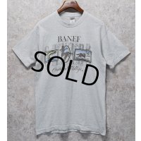 ビンテージ【FRUIT OF THE LOOM】【フルーツオブザルーム】【BANFF cnadian wildlife】ライトグレー【 Tシャツ】【サイズL】 
