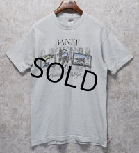 ビンテージ【FRUIT OF THE LOOM】【フルーツオブザルーム】【BANFF cnadian wildlife】ライトグレー【 Tシャツ】【サイズL】 