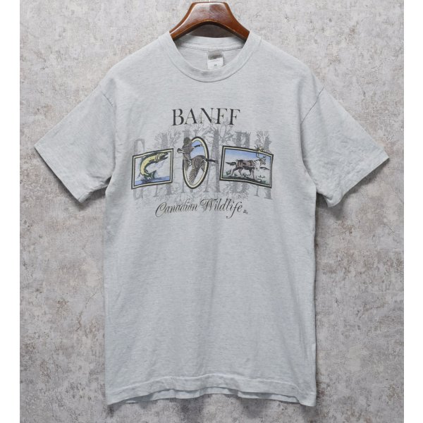 画像1: ビンテージ【FRUIT OF THE LOOM】【フルーツオブザルーム】【BANFF cnadian wildlife】ライトグレー【 Tシャツ】【サイズL】 