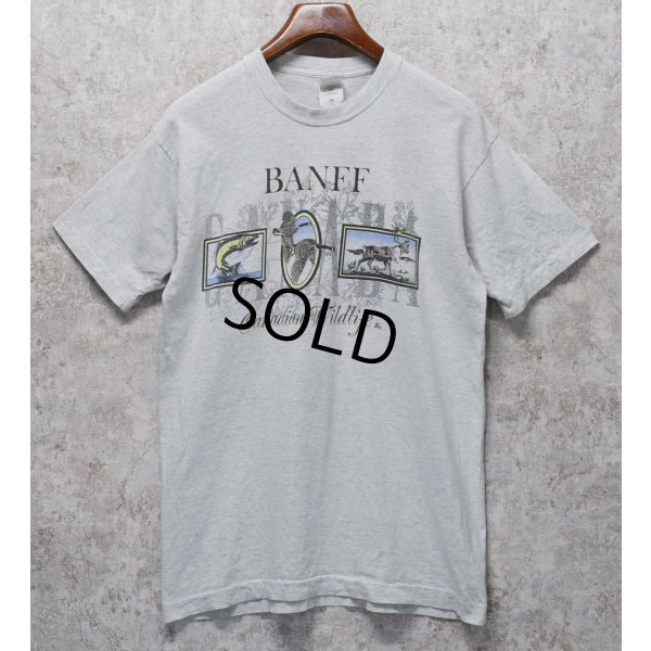 画像1: ビンテージ【FRUIT OF THE LOOM】【フルーツオブザルーム】【BANFF cnadian wildlife】ライトグレー【 Tシャツ】【サイズL】 