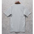 画像3: ビンテージ【FRUIT OF THE LOOM】【フルーツオブザルーム】【BANFF cnadian wildlife】ライトグレー【 Tシャツ】【サイズL】<br> (3)