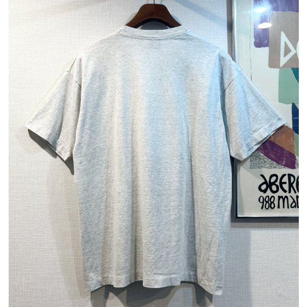 画像3: 90's【USA製】ビンテージ【SCREEN STARS】スクリーンスターズ シングルステッチ【スノーモービル】グレー【Tシャツ】【サイズXL】 
