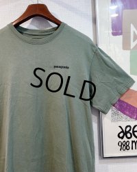 ビンテージ【パタゴニア】patagonia【緑】【バックプリント】ロゴ入り 【Tシャツ】【サイズM】 