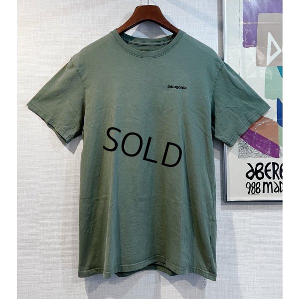 画像3: ビンテージ【パタゴニア】patagonia【緑】【バックプリント】ロゴ入り 【Tシャツ】【サイズM】 