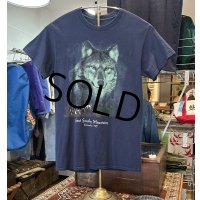 ビンテージ【グレート・スモーキー・ マウンテンズ国立公園】 Great Smoke Mountains Cherokee nc オオカミプリント【紺】Tシャツ【サイズS程度】 