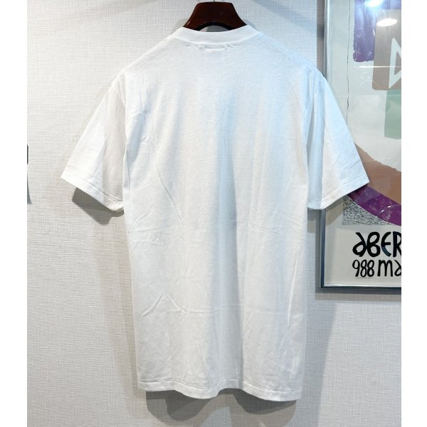 画像3: デッドストック【〜90's】【ビンテージ】【Hanes】ヘインズ【Spruce Lake Retreat】プリント【白】【Tシャツ】【サイズL】 