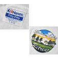 画像2: デッドストック【〜90's】【ビンテージ】【Hanes】ヘインズ【Spruce Lake Retreat】プリント【白】【Tシャツ】【サイズL】<br> (2)