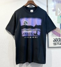 【90's~】ビンテージ【FRUIT OF THE LOOM】【フルーツオブザルーム】YUKON【犬ぞり】月夜【 Tシャツ】【サイズL】 