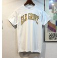 画像1: 【90's】【USA製】【ビンテージ】【Hanes】ヘインズ【ELK GROVE】エルク グローブ【白】【Tシャツ】【サイズＭ】<br> (1)