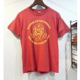画像1: 80’s【USA製】ビンテージ【スクリーンスターズ】【USMC】【ブルドッグ】【赤】Tシャツ【サイズＬ】<br> (1)