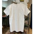 画像3: ビンテージ【GILDAN】ギルダン NEW YORK LYLE LYLE CROCODILE ライルライルクロコダイル ワニｘ猫【白】Tシャツ【サイズＭ】シング・フォー・ミー、ライル<br> (3)