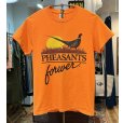 画像1: 【GILDAN】【ギルダン】PHESANTS foever【キジ】鳥 オレンジ【Tシャツ】【サイズＳ】<br> (1)