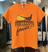 【GILDAN】【ギルダン】PHESANTS foever【キジ】鳥 オレンジ【Tシャツ】【サイズＳ】 