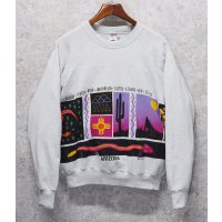 90's【USA製】【ONEITA】【オニータ】【ビンテージ】【ARIZONA】【サボテン】【クルーネック】【スウェット】【サイズXL】 